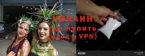 дживик Аркадак