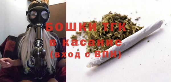 индика Арсеньев
