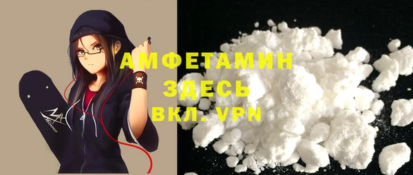 индика Арсеньев