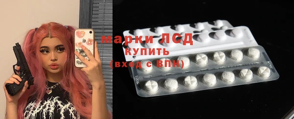 индика Арсеньев