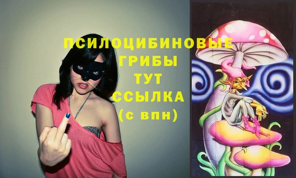 дживик Аркадак