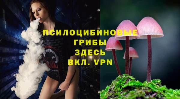 индика Арсеньев