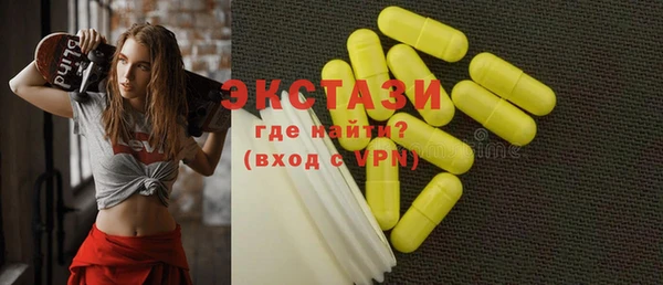 индика Арсеньев