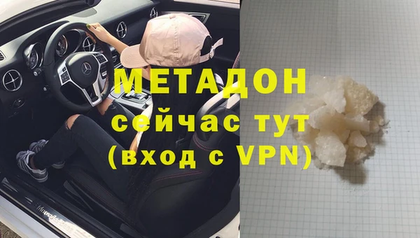 индика Арсеньев